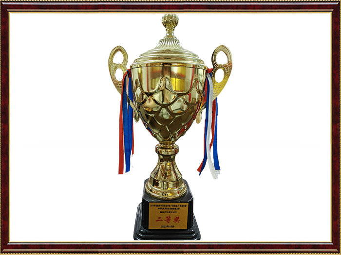 2023年常德市中等职业学校“技能成才,强国有我”文明风采系列活动啦啦操比赛集体爵士自选动作二等奖