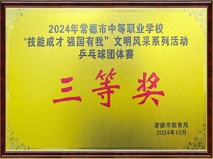 2024年“技能成才强国有我”文明风采系列活动乒乓球团体赛三等奖