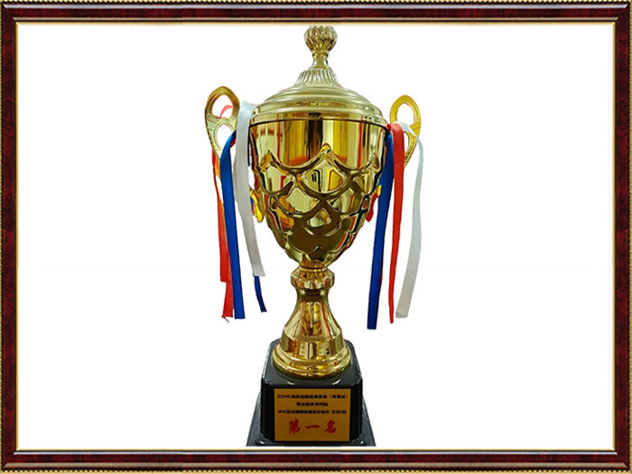 2024年湖南省啦啦操联赛(常德站)俱乐部青年丙组2020版全国啦啦操规定动作-花球2级第一名