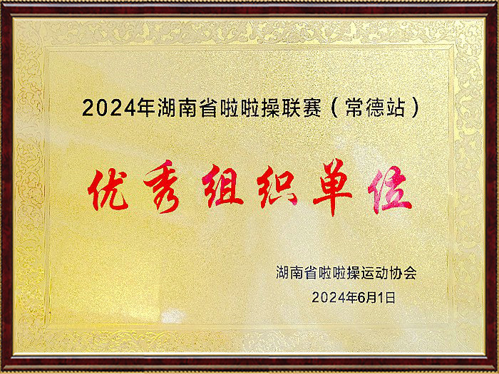 2024年湖南省啦啦操联赛（常德站）优秀组织单位