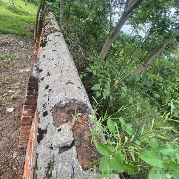 常德时代中等职业学校,新能源汽车,高铁乘务,运动训练,工业机器人就业方向招生 常德时代中等职业学校,新能源汽车,高铁乘务,运动训练,工业机器人就业方向招生